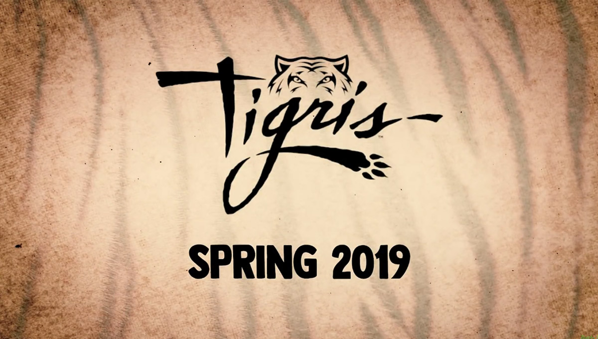 “Tigris” a nova montanha-russa do Busch Gardens foi anunciada para 2019