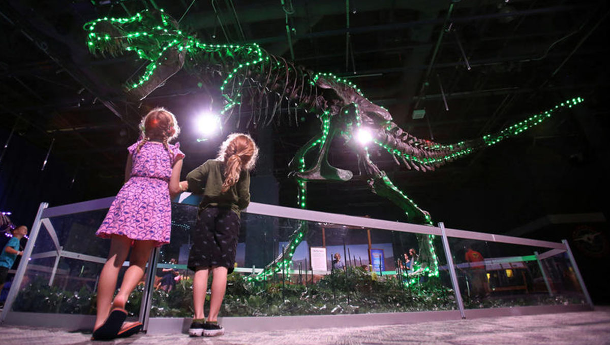 Dinossauro do “Orlando Science Center” ganha luzes natalinas