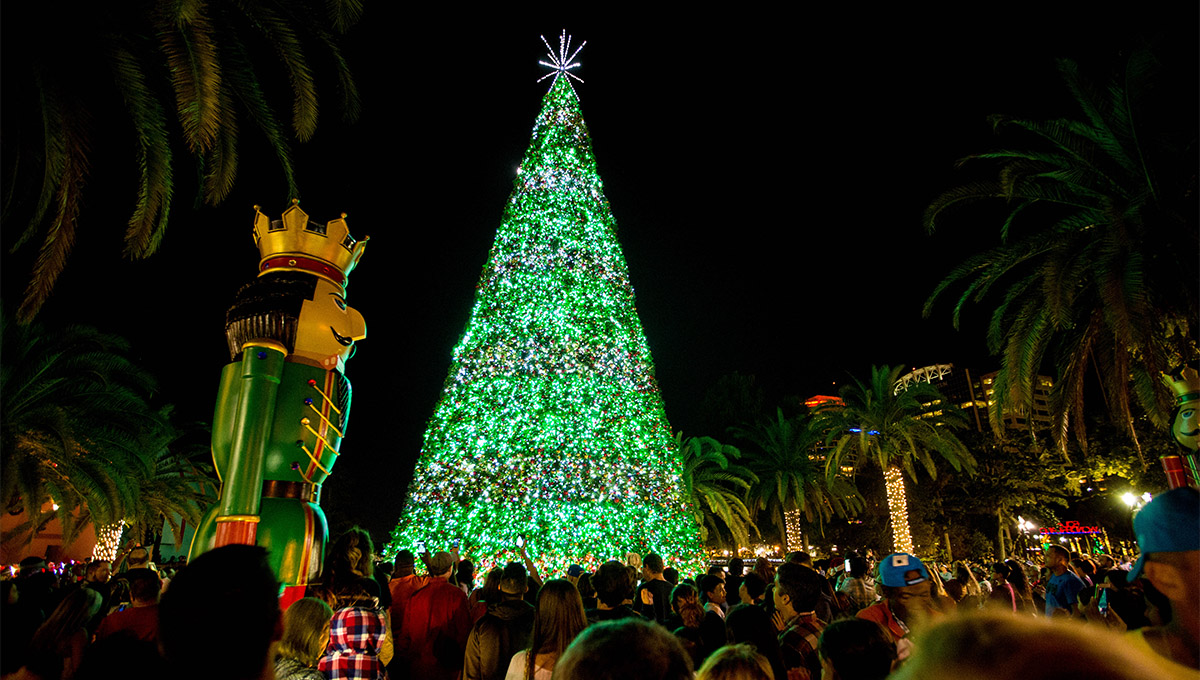 Mostra da árvore de Natal do país das maravilhas de Eola