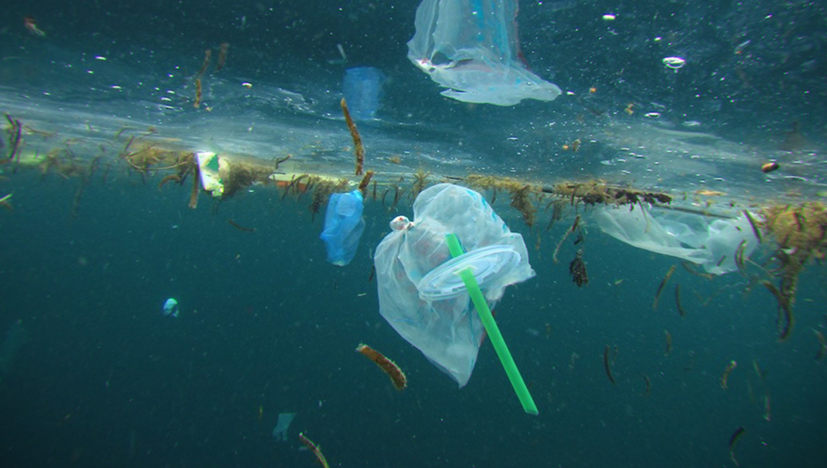 Cidade de Orlando proíbe oficialmente plásticos em locais públicos