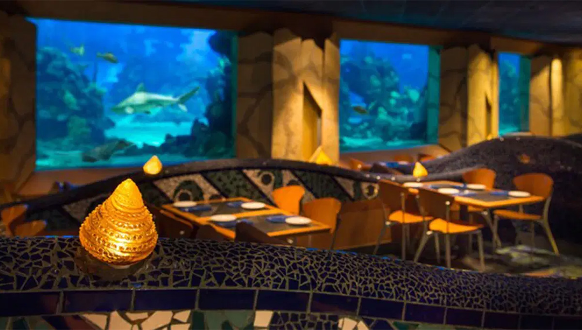“Coral Reef” jante ao lado de tubarões neste restaurante incrível em Orlando